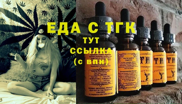 spice Богданович